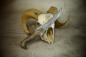 Preview: Oriental Knife "Sharif", gold